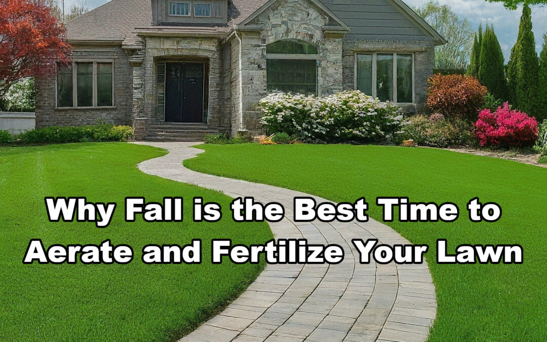 Why Fall is the Best Time to Aerate and Fertilize Your Lawn