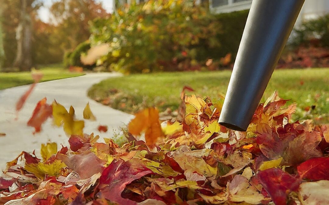 Fall in Love with Your Yard: The Importance of Leaf Cleanup