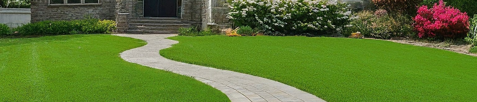 lawn